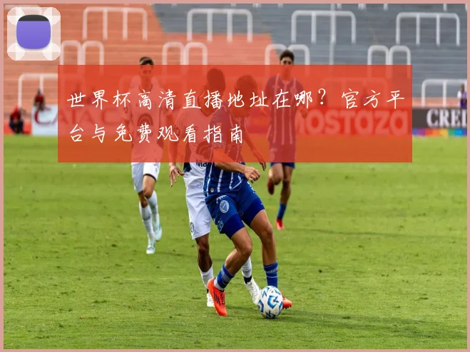 世界杯高清直播地址在哪？官方平台与免费观看指南
