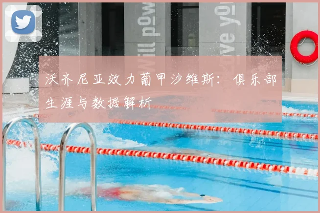沃齐尼亚效力葡甲沙维斯：俱乐部生涯与数据解析